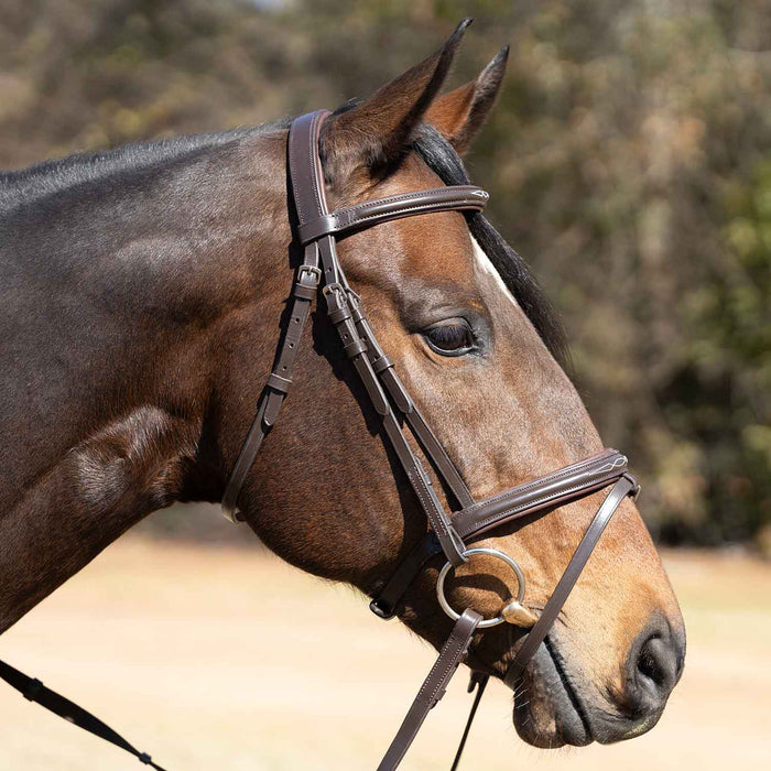 Jeffers Uniquely English "Kentucky" Fancy Stitched Leather Jumping Bridle for Horses - JEF14K - Havana - Cob - 1 - 3