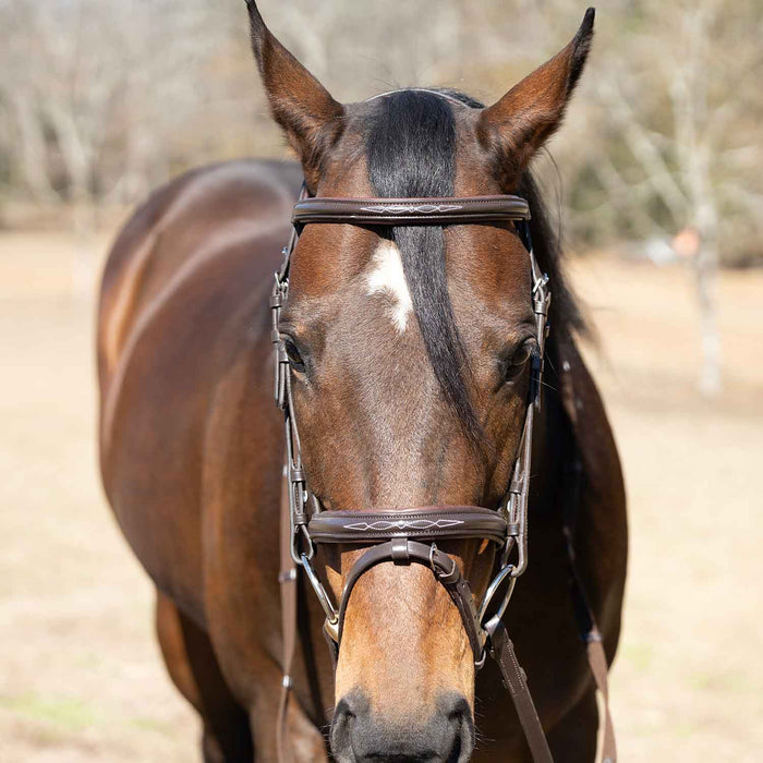Jeffers Uniquely English "Kentucky" Fancy Stitched Leather Jumping Bridle for Horses - JEF14K - Havana - Cob - 1 - 2