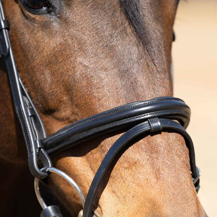 Jeffers Uniquely English "Windsor" Leather Dressage Bridle With Web Reins for Horses - JEF14T - Black - Cob - 1 - 8