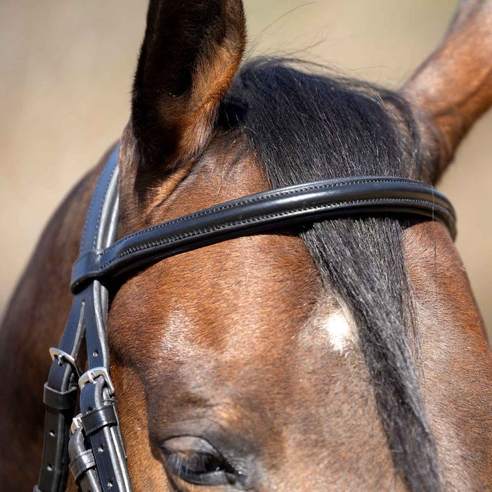 Jeffers Uniquely English "Windsor" Leather Dressage Bridle With Web Reins for Horses - JEF14T - Black - Cob - 1 - 7