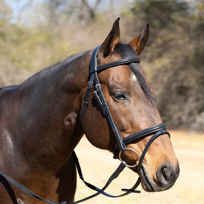 Jeffers Uniquely English "Windsor" Leather Dressage Bridle With Web Reins for Horses - JEF14T - Black - Cob - 1 - 6