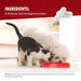 Jeffers Uracid DL - Methionine 0.2g Capsules for Dogs & Cats – Supports Urinary Tract, Reduces Urine Odor, Prevents Stones - JEFBB8 - 1000 Capsules (Up to 333 Day Supply) - 5