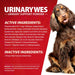 Jeffers UrinaryWes Urinary Support Powder with D - Mannose for Dogs & Cats - JEFBBF - 90 grams (Up to 42 Servings) - Chicken - Powder - 10