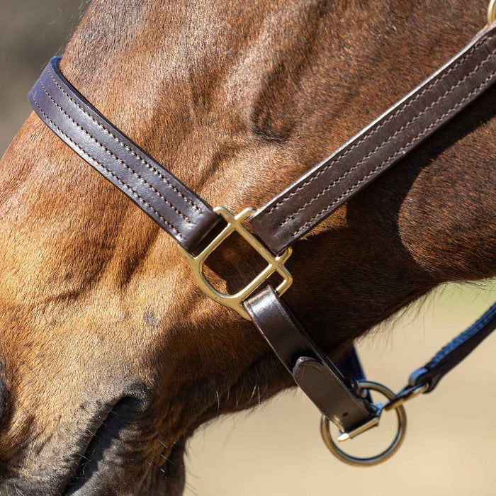 Jeffers Versailles Triple Stitched Adjustable Leather Halter for Horses, Havana - JEF15W - Cob - Havana - 1 - 5