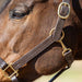 Jeffers Versailles Triple Stitched Adjustable Leather Halter for Horses, Havana - JEF15W - Cob - Havana - 1 - 6
