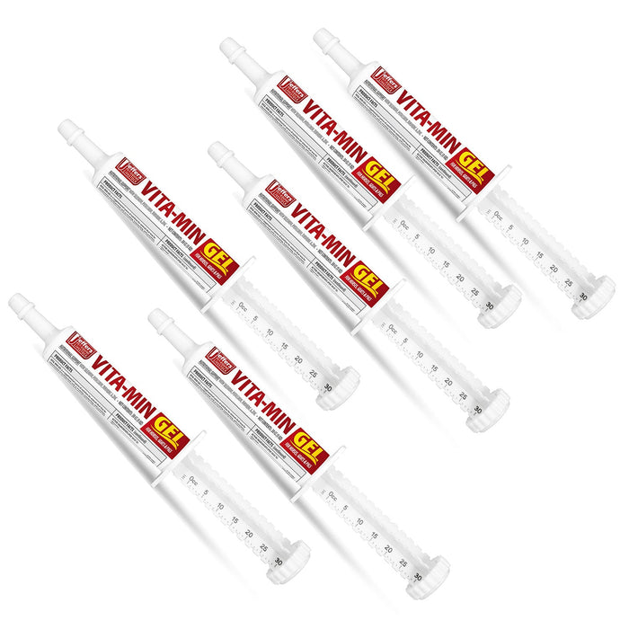 Jeffers Vita - Min Gel with Vit E & B12 for Cattle, Horses, Sheep, Goats & Swine - JEF2P2-6PK - 30 cc - 6 - 9