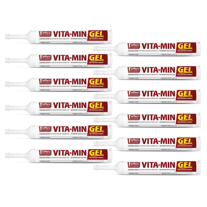 Jeffers Vita - Min Gel with Vit E & B12 for Cattle, Horses, Sheep, Goats & Swine - JEF2P4-KIT - 300 cc - 12 - 7