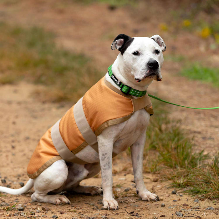 Jeffers Waterproof Breathe - Comfort 600D Ripstop Dog Blanket, 200 Gram - I2K5 - Apricot with Tan - 20" - 34