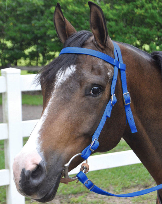 Jeffers Western Nylon Horse Bridle w/ Split Reins - Jeffers - Horse Supplies > Horse Tack > Bridles & Headstalls