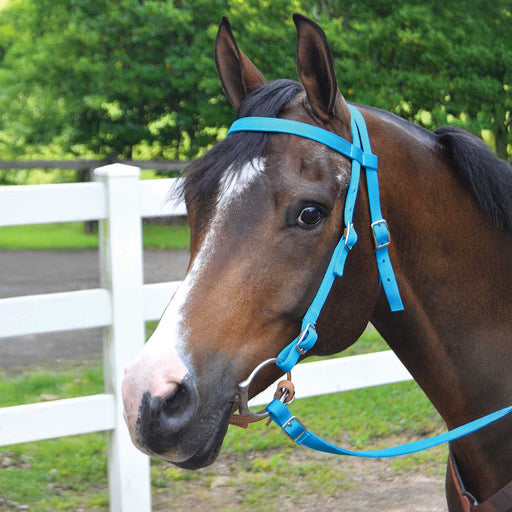 Jeffers Western Nylon Horse Bridle with 6' Split Reins Set - SS23 - Turquoise - 10