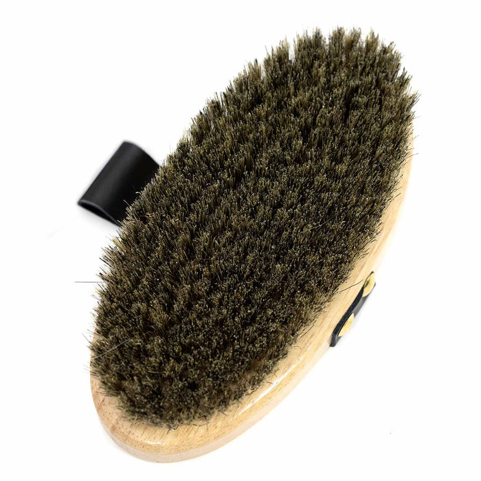Jeffers Wooden Body Brush with Hand Strap, Stiff Bristle Dandy Grooming Brush - IA1M - Brown - 7" - Each - 2