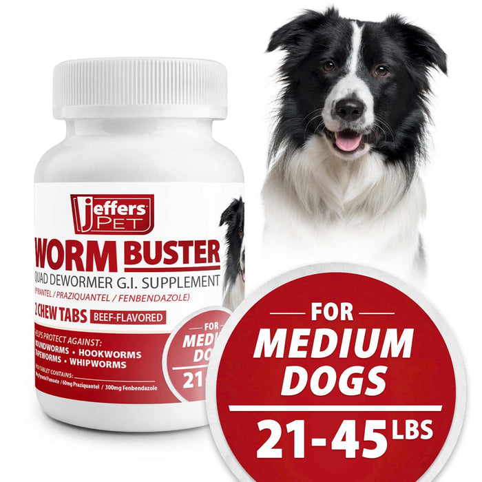 Jeffers Worm Buster Dog Dewormer Flavored Tablets - JEFZV8 - For Medium Dogs (21–45 lbs) - Beef - 2 tabs - 11