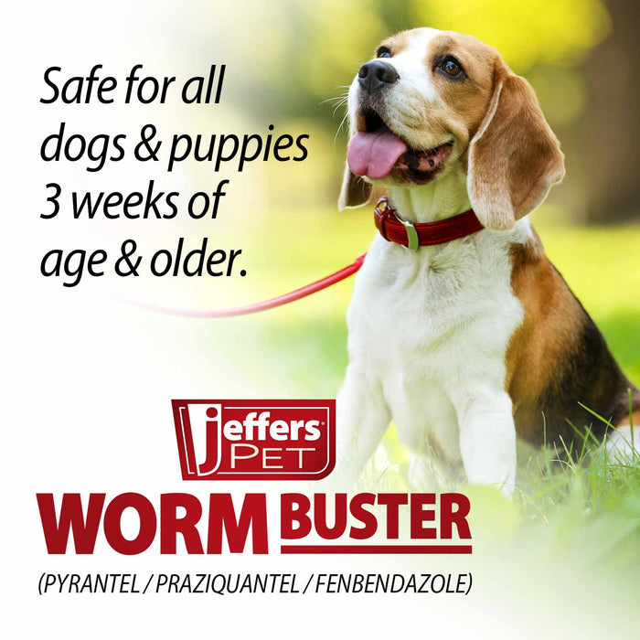 Jeffers Worm Buster Dog Dewormer Flavored Tablets - JEFZVA - For Small Dogs & Puppies (2–20 lbs) - Beef - 12 tabs - 6