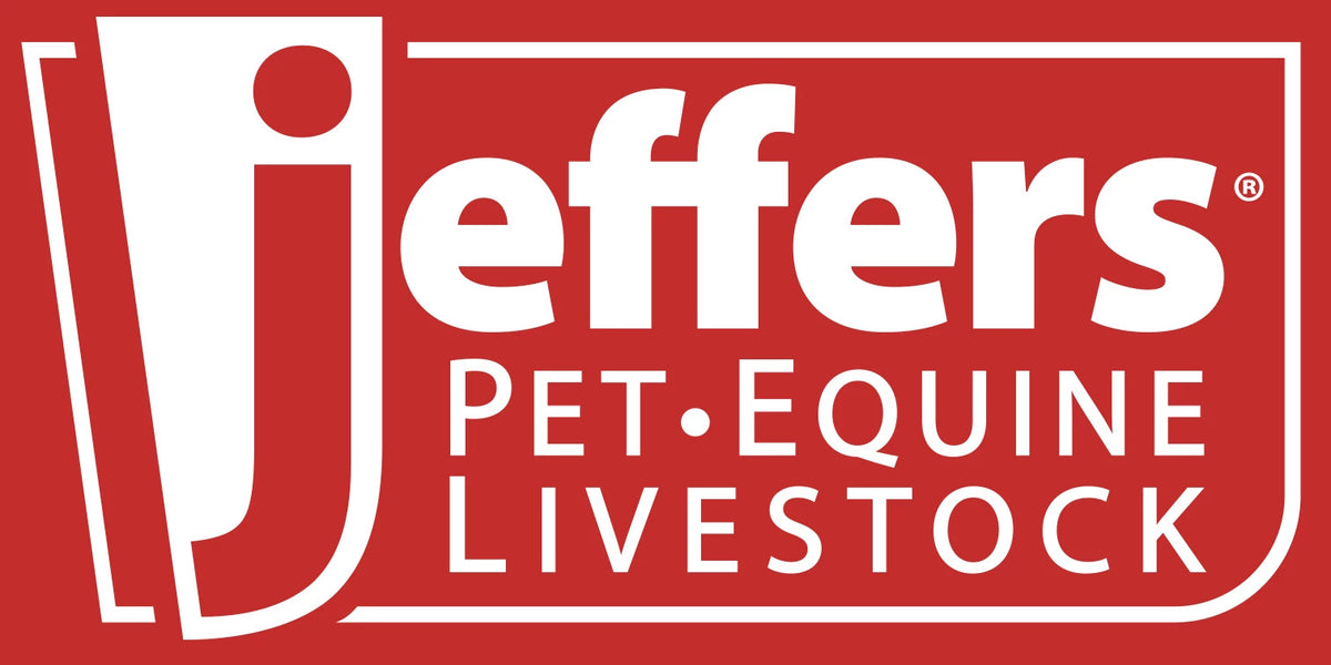 Dog Supplies & Premium Dog Products — Jeffers