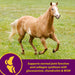 Joint Combo Hoof & Coat - Jeffers - Animal Health & Wellness > Vitamins & Supplements