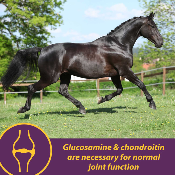 Joint Combo™ Pellets with Glucosamine and Chondroitin for Horses - H3J2 - Cinnamon Apple - 8 lbs - 13