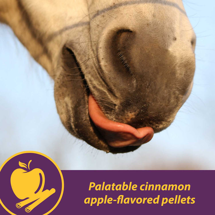 Joint Combo™ Pellets with Glucosamine and Chondroitin for Horses - H3J2 - Cinnamon Apple - 8 lbs - 14
