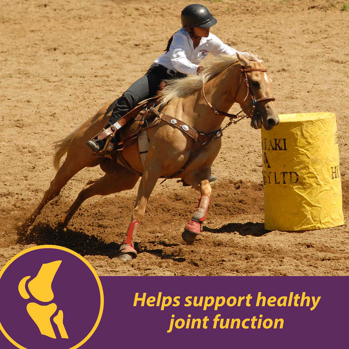 Joint Combo™ Pellets with Glucosamine and Chondroitin for Horses - H3J2 - Cinnamon Apple - 8 lbs - 12