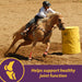 Joint Combo™ Pellets with Glucosamine and Chondroitin for Horses - H3J2 - Cinnamon Apple - 8 lbs - 12