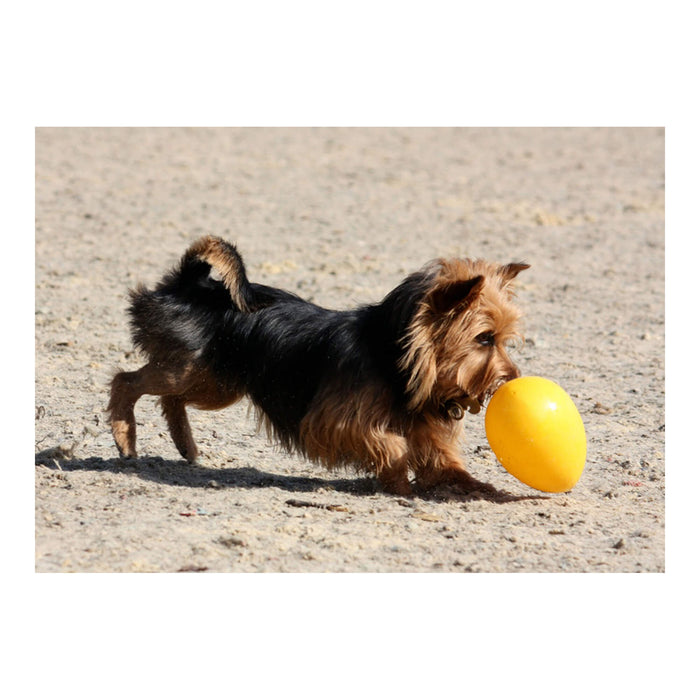 Jolly Egg Dog Toy  Durable, Interactive Chase & Floating Toy for Dogs - H7TF - 8" - Red - 6