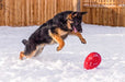 Jolly Egg Dog Toy  Durable, Interactive Chase & Floating Toy for Dogs - H7TF - 8" - Red - 3