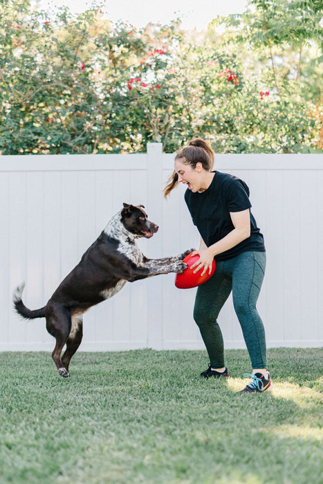 Jolly Egg Dog Toy  Durable, Interactive Chase & Floating Toy for Dogs - H7TF - 8" - Red - 4