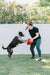 Jolly Egg Dog Toy  Durable, Interactive Chase & Floating Toy for Dogs - H7TF - 8" - Red - 4
