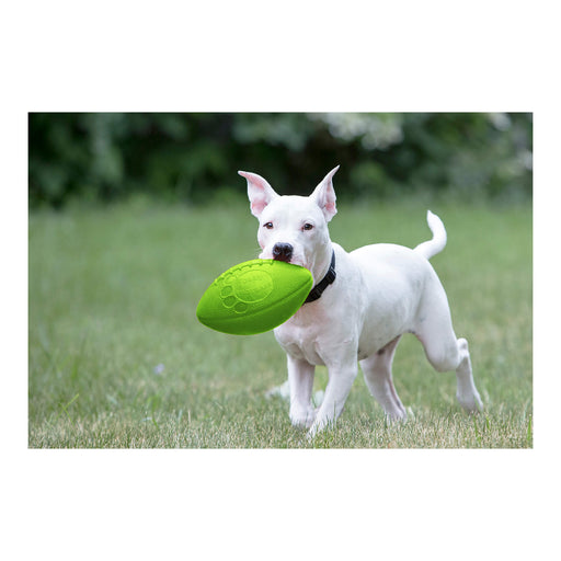 Jolly Football Dog Fetch Toy, 8" – Floats, Bounces & Retains Shape - H7VG - Green - 8" - 2