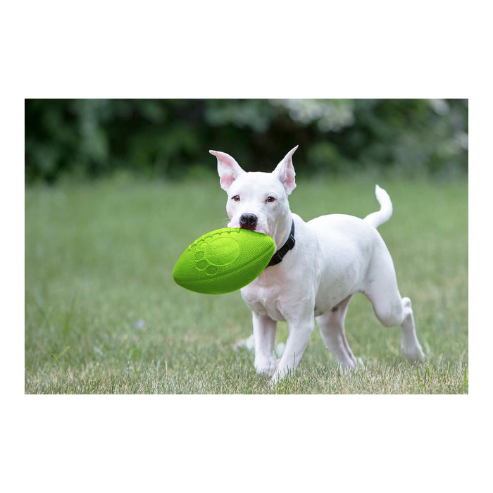 Jolly Football Dog Fetch Toy, 8" – Floats, Bounces & Retains Shape - H7VG - Green - 8" - 2