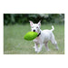 Jolly Football Dog Fetch Toy, 8" – Floats, Bounces & Retains Shape - H7VG - Green - 8" - 2
