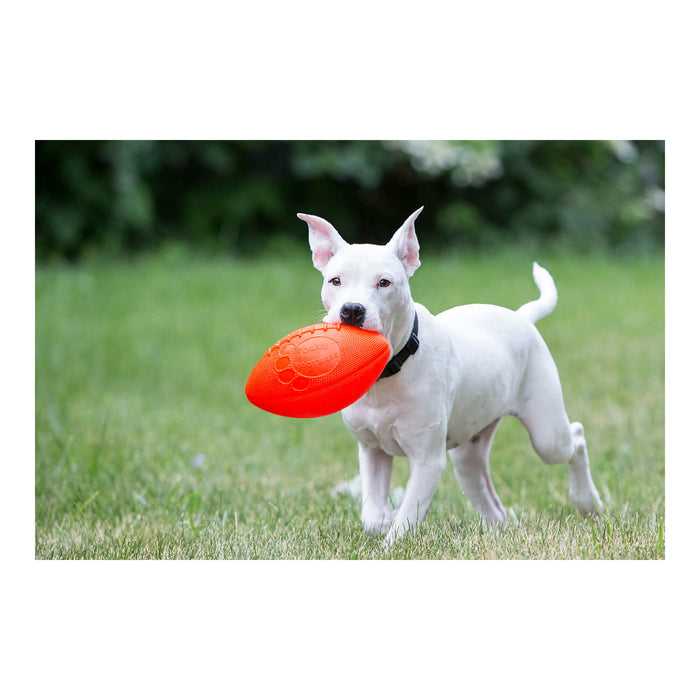Jolly Football Dog Fetch Toy, 8" – Floats, Bounces & Retains Shape - H7VH - Orange - 8" - 4