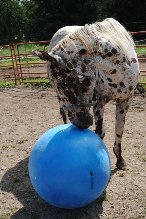 Jolly Mega Ball – Durable Anti - Burst Inflatable Horse Exercise & Enrichment Ball - H7MA - 25" - Red - 2