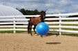 Jolly Mega Ball – Durable Anti - Burst Inflatable Horse Exercise & Enrichment Ball - H7MA - 25" - Red - 1