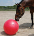 Jolly Mega Ball - Jeffers - Dog Supplies > Dog Toys