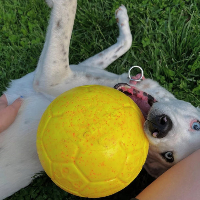 Jolly Soccer Ball for Dogs – Durable, Floating, Puncture - Resistant, Fetch Toy, Made in USA - H7XM - Light Purple - 3" Mini - Grape - 19