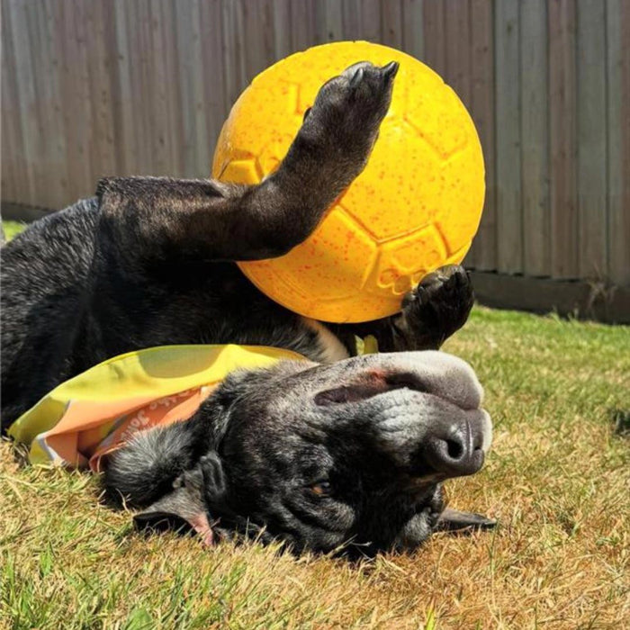 Jolly Soccer Ball for Dogs – Durable, Floating, Puncture - Resistant, Fetch Toy, Made in USA - H7XM - Light Purple - 3" Mini - Grape - 20