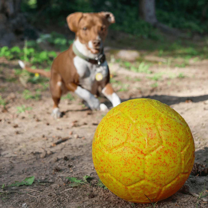 Jolly Soccer Ball for Dogs – Durable, Floating, Puncture - Resistant, Fetch Toy, Made in USA - H7XM - Light Purple - 3" Mini - Grape - 17