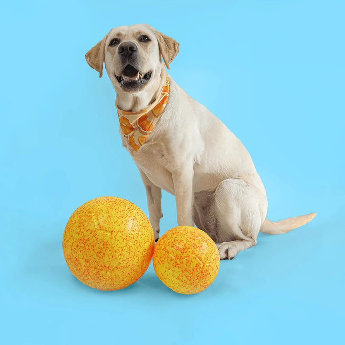 Jolly Soccer Ball for Dogs – Durable, Floating, Puncture - Resistant, Fetch Toy, Made in USA - H7XM - Light Purple - 3" Mini - Grape - 16