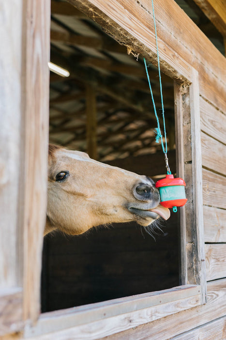 Jolly Stall Snack System Kit, Apple - Jeffers - Horse Supplies > Horse Treats