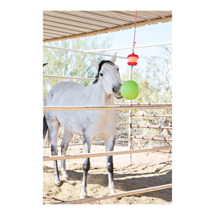 Jolly Stall Snack with Apple Combo – Interactive Apple - Scented Horse Toy & Treat Holder - H7WH - Multi - 4
