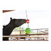 Jolly Stall Snack with Apple Combo – Interactive Apple - Scented Horse Toy & Treat Holder - H7WH - Multi - 3