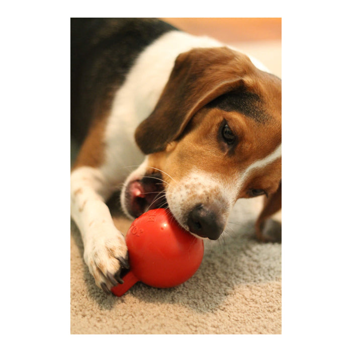 Jolly Tug - N - Toss Treat Dispensing Dog Toy, Mini - H7VK - Red - 3" - 3