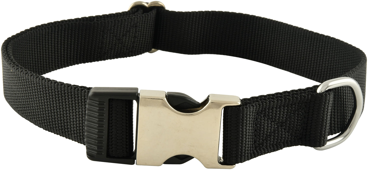 Millennium Dog Collar, 3/4" x 12-18" - Black  