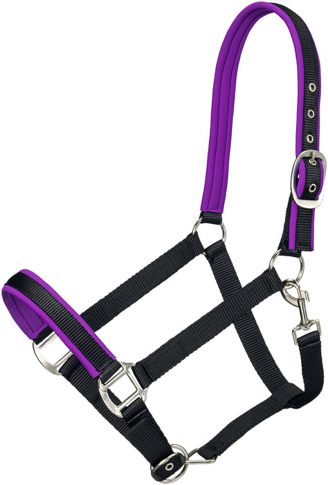 Tough1 Padded Nylon Horse Halter, Full - Black/Purple  