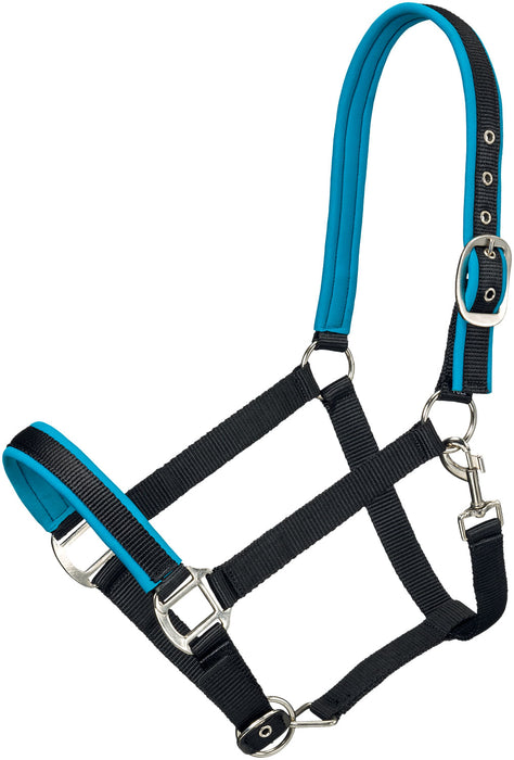 Tough1 Padded Nylon Horse Halter, Full - Black/Turquoise  