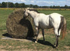 Tough 1 Round Bale Slow Feed 2x2 Hay Net for Horses -   