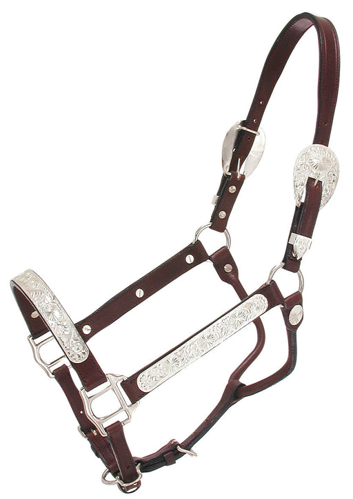 Raised Oval Horse Show Halter -   