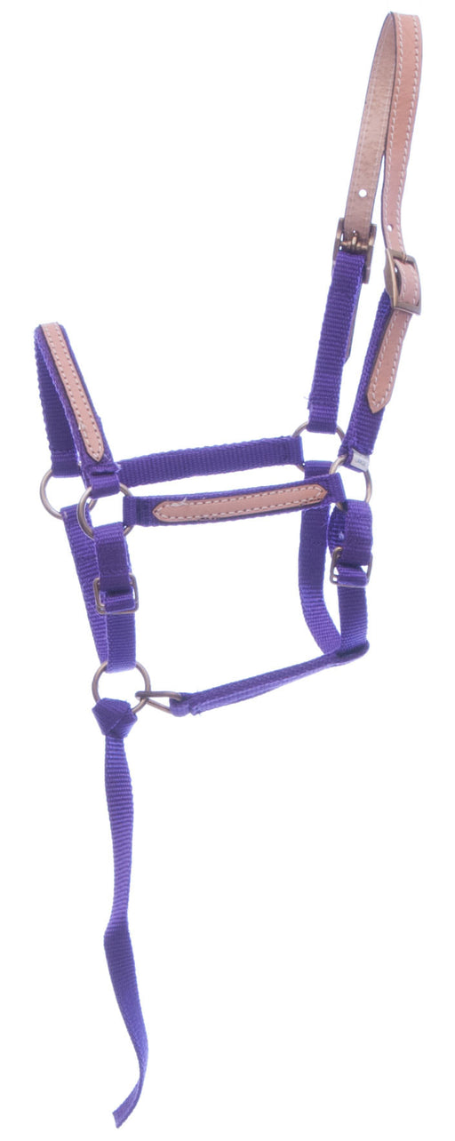 Tough1 Miniature Nylon Breakaway Halter, Large - Purple  