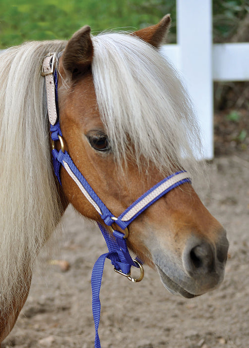 Tough1 Miniature Nylon Breakaway Halter, Large - Purple  