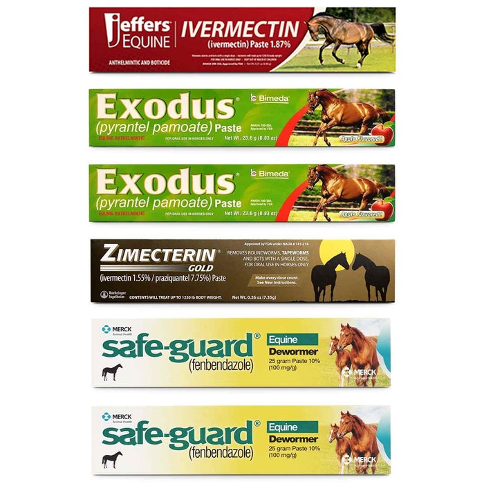 Premium Horse Wormer Kit -   